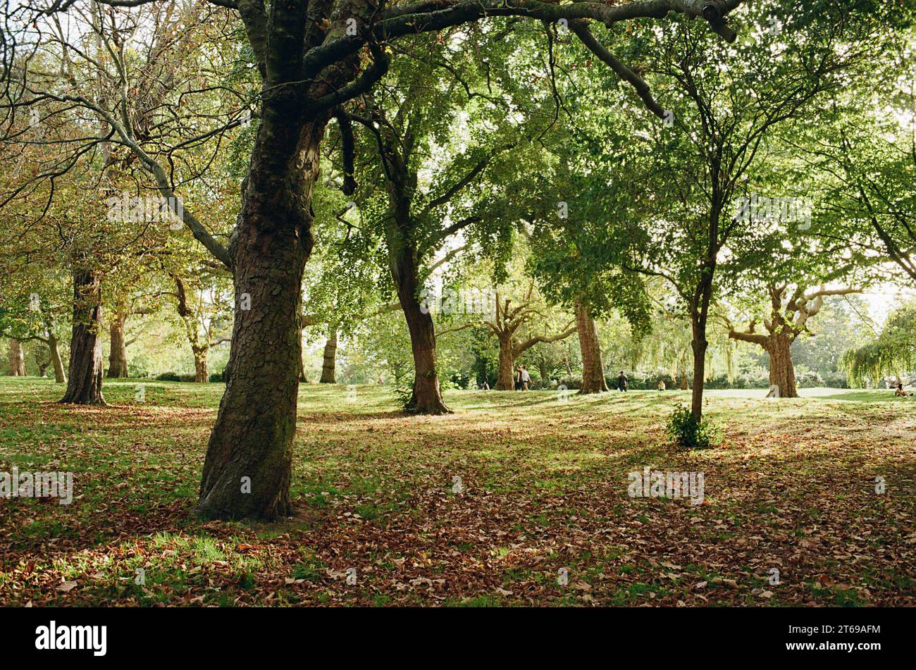 Finsbury Park im London Borough of Haringey, London UK, im frühen Herbst Stockfoto