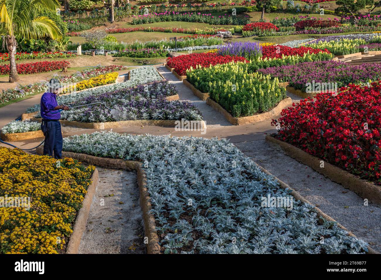 Arbeiter bewässern Pflanzen in den Mae Fah Luang Gardens innerhalb der Touristenattraktion Doi Tung in Chiang Rai, Thailand Stockfoto