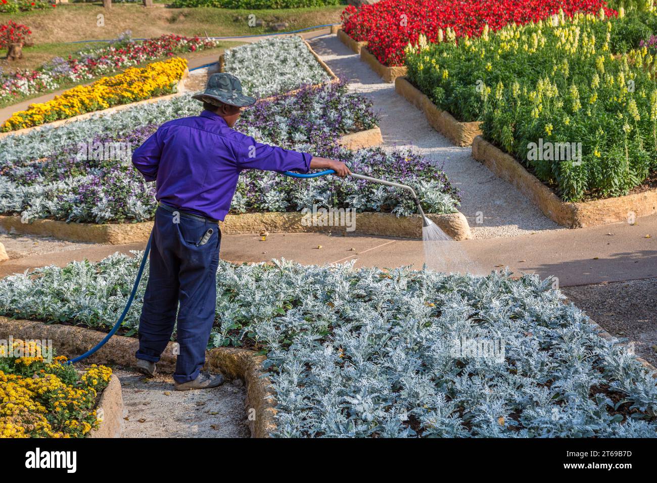 Arbeiter bewässern Pflanzen in den Mae Fah Luang Gardens innerhalb der Touristenattraktion Doi Tung in Chiang Rai, Thailand Stockfoto
