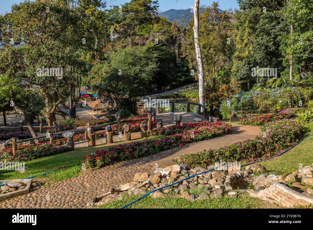 Mae Fah Luang Gardens in der Touristenattraktion Doi Tung in Chiang Rai, Thailand Stockfoto