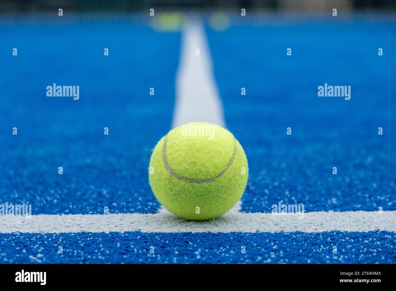 Selektiver Fokus eines Paddeltennisballs auf der Linie eines blauen Paddeltennisplatzes, Racketsport Stockfoto