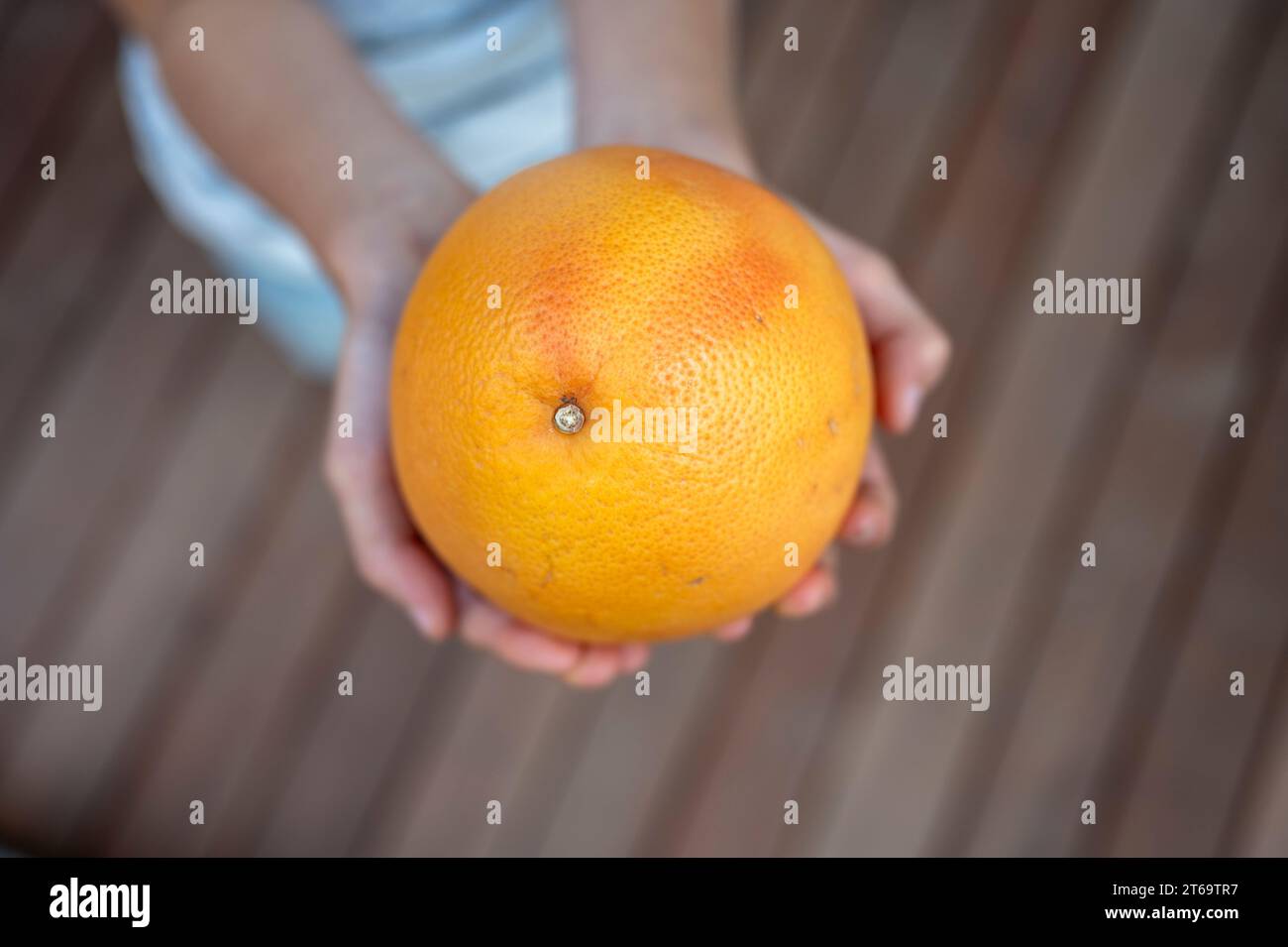 Blick von oben auf eine große reife saftige Orange oder Grapefruit in den Händen eines Kindes. Stockfoto
