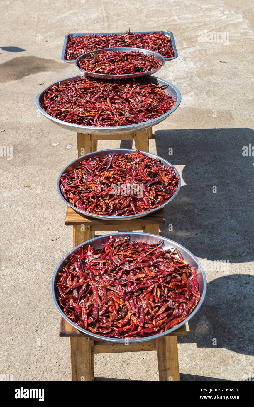 Tabletts mit Paprika auf dem Bürgersteig zum Verkauf entlang der Ban du Straße in Chiang Rai, Thailand Stockfoto