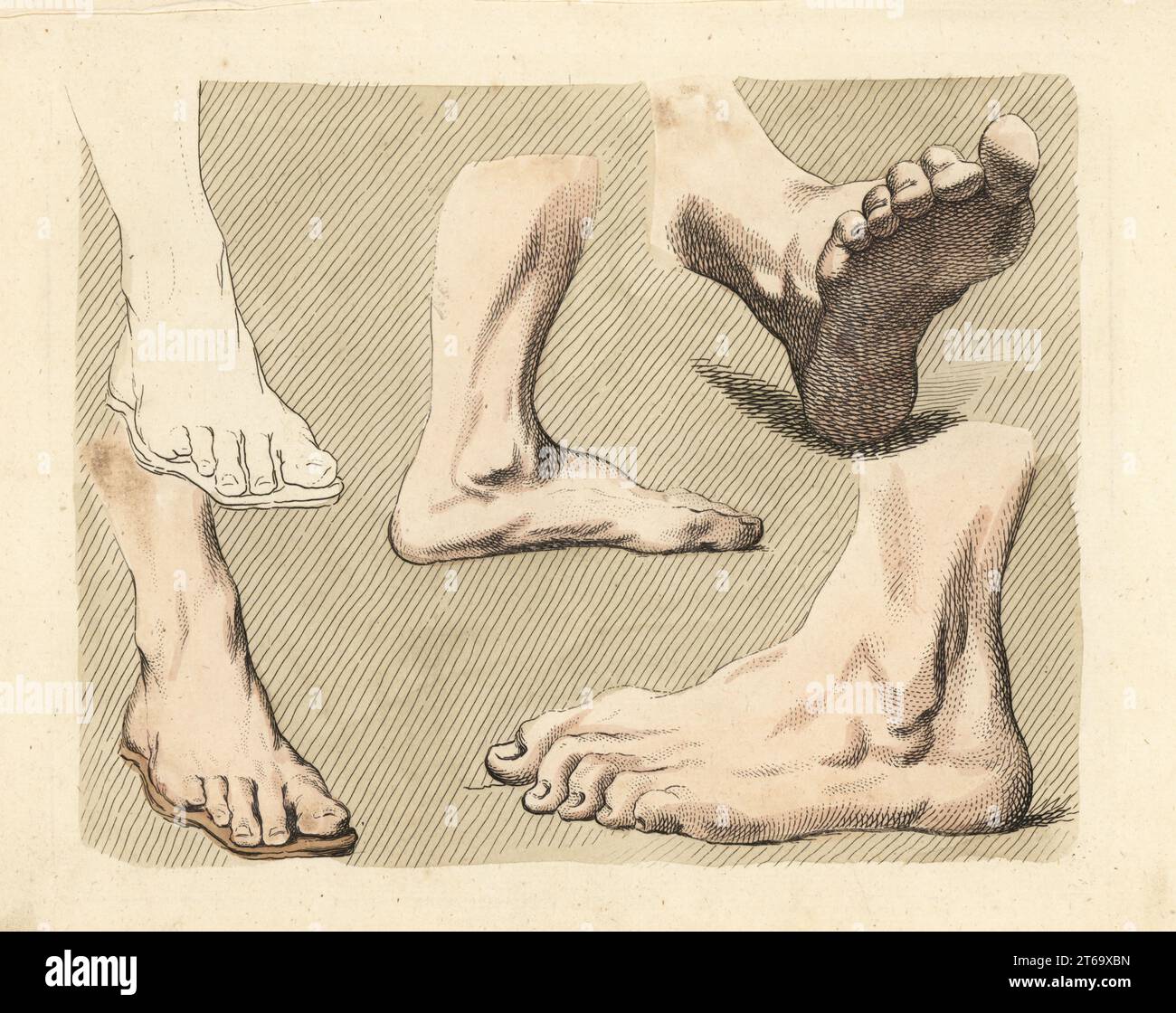 Figuren von männlichen Füßen, Zehen, Knöcheln aus Gemälden eines alten Meisters in einem Kunstlehrbuch aus dem 18. Jahrhundert. Handkolorierter Kupferstich von Robert Sayers The Artists Vade Mecum, Being the Whole Art of Drawing, London, 1766. Stockfoto