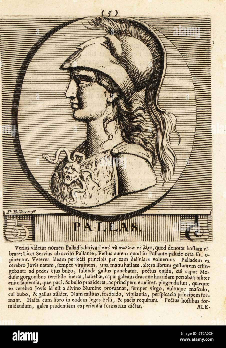 Athena oder Athene, oft als Pallas bezeichnet, antike griechische Göttin, die mit Weisheit, Handwerkskunst und Krieg verbunden ist. Sie trägt einen Helm, ein Gewand aus Tierhaut und eine Brosche mit Medusa-Kopf und Schlangenhaaren. Römische Göttin Minerva. Kupferstich von Pieter Bodart (1676–1712) aus Henricus spoors Deorum et Heroum, Virorum et Mulierum Illustrium imagines Antiquae Illustatae, Götter und Helden, Männer und Frauen, illustriert mit antiken Bildern, Petrum, Amsterdam, 1715. Erstmals 1707 als Favissæ utriusque antiquitatis tam Romanæ quam Græcæ veröffentlicht. Henricus Spoor war ein niederländischer Arzt, klassisch Stockfoto