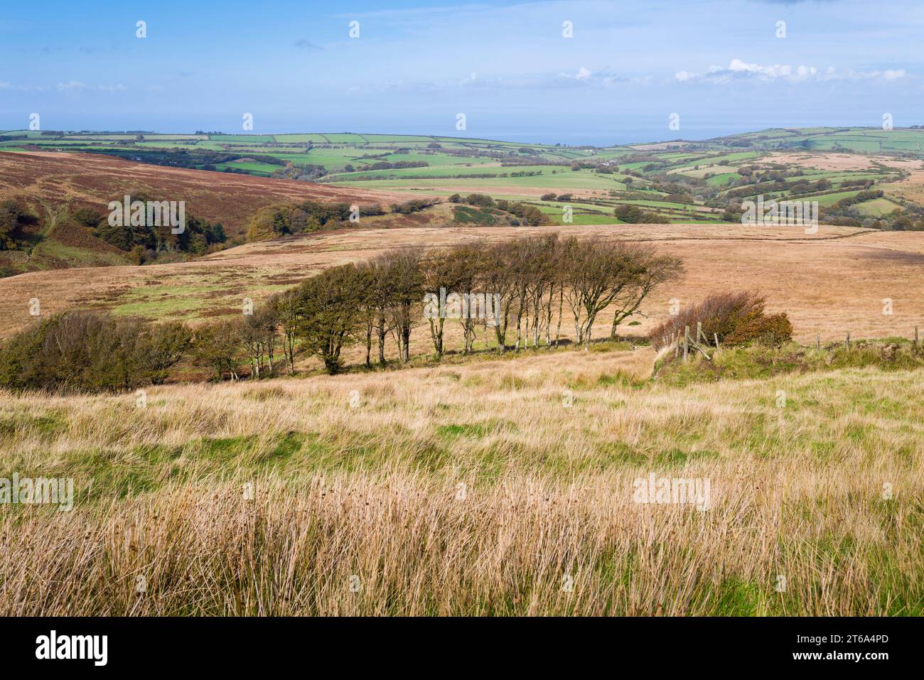 Saddle Gate auf der Nordseite der Ketten mit dem Wast Lyn Valley dahinter im Exmoor National Park, Devon, England. Stockfoto