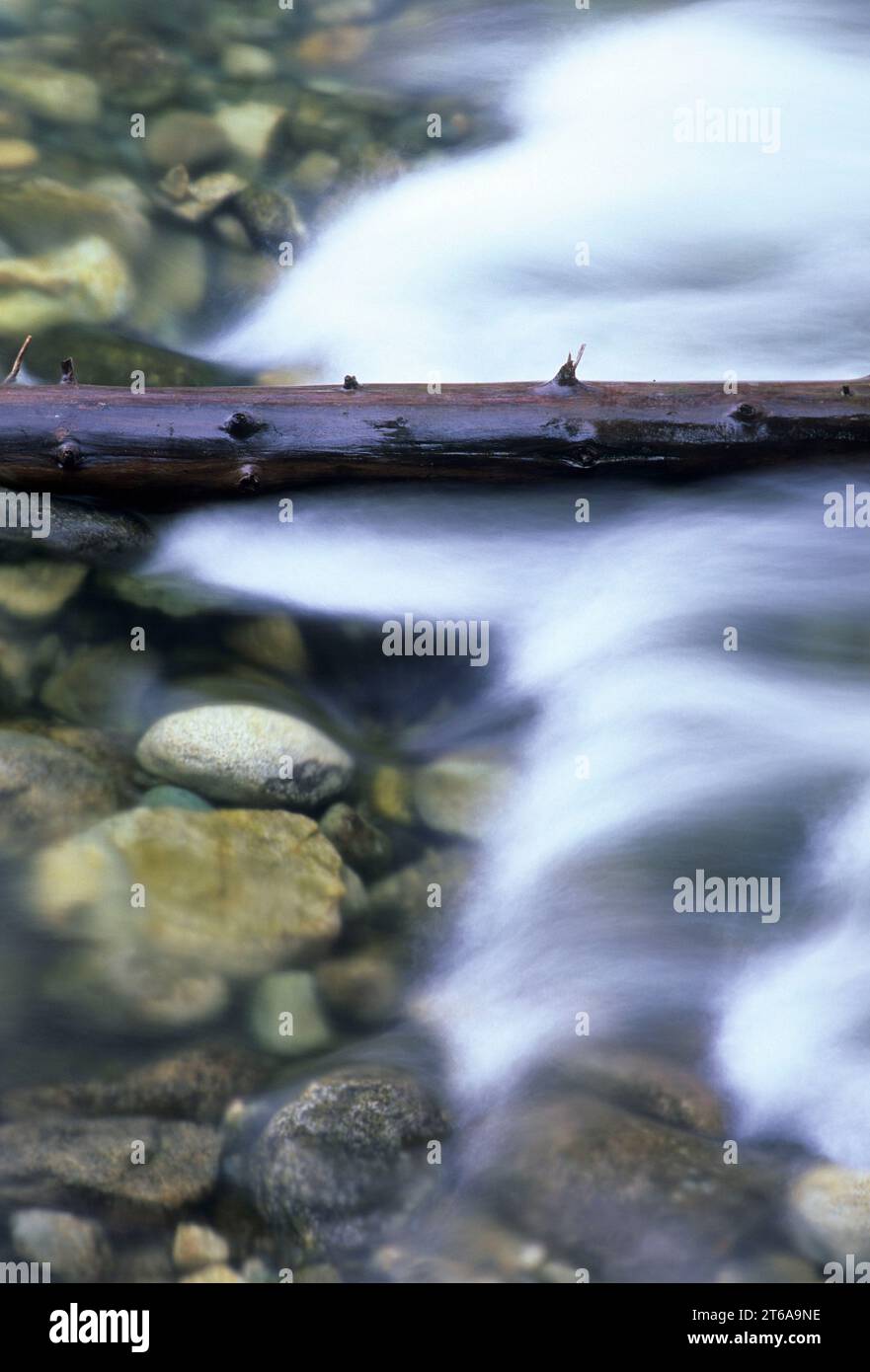 Twisp River, Okanogan National Forest, Washington Stockfoto