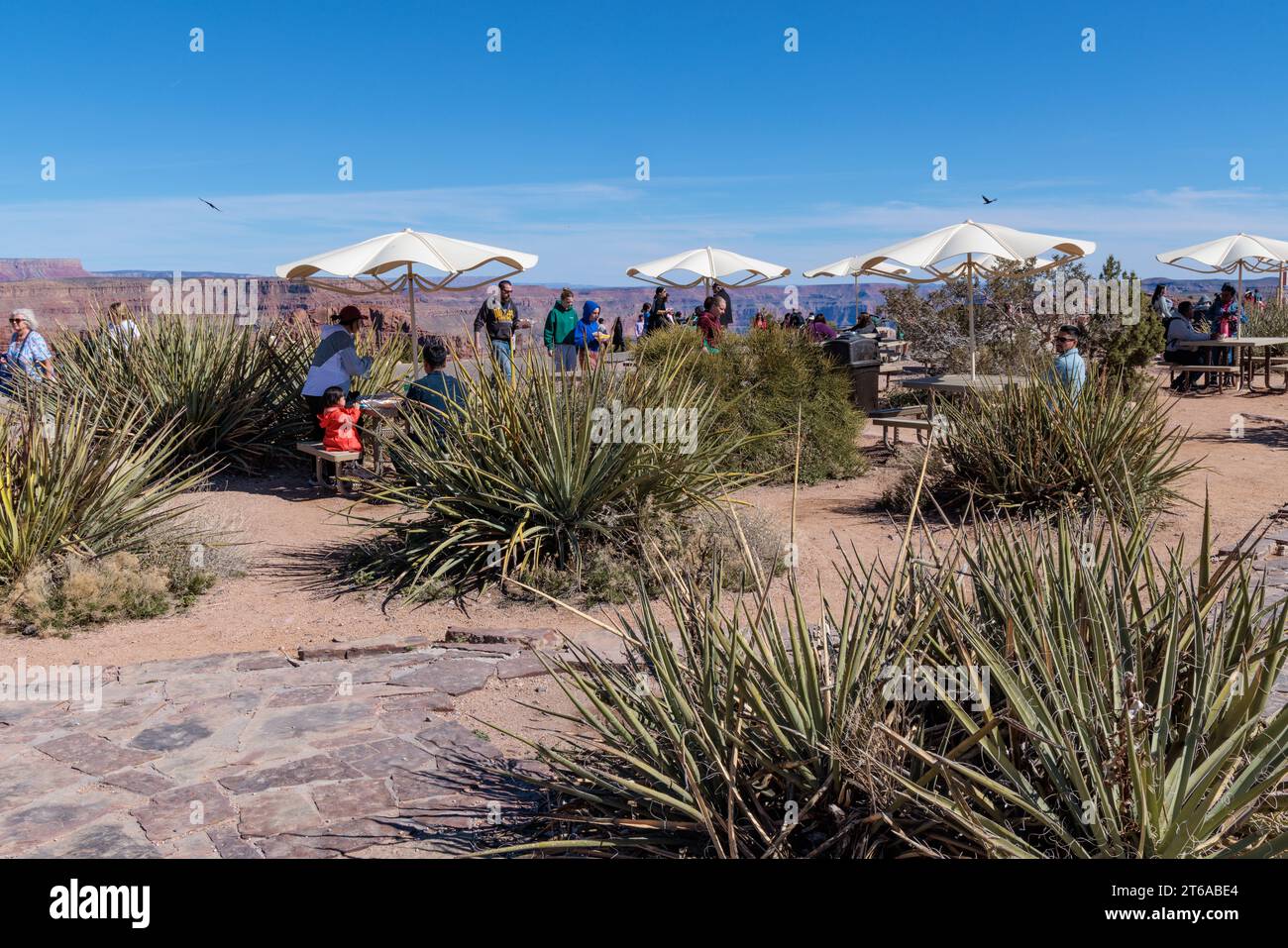 Besucher können eine Pause an den mit Sonnenschirmen überdachten Picknicktischen im Eagle Point Area im Grand Canyon West in der Nähe von Peach Springs, Arizona, einlegen Stockfoto