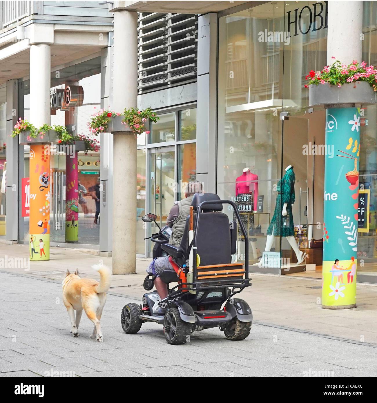 Mann, der einen behindertengerechten Roller in einer Fußgängerzone fährt und mit seinem Hund auf einer angebrachten Leitung in Bury St Edmunds Suffolk England spazieren geht Stockfoto