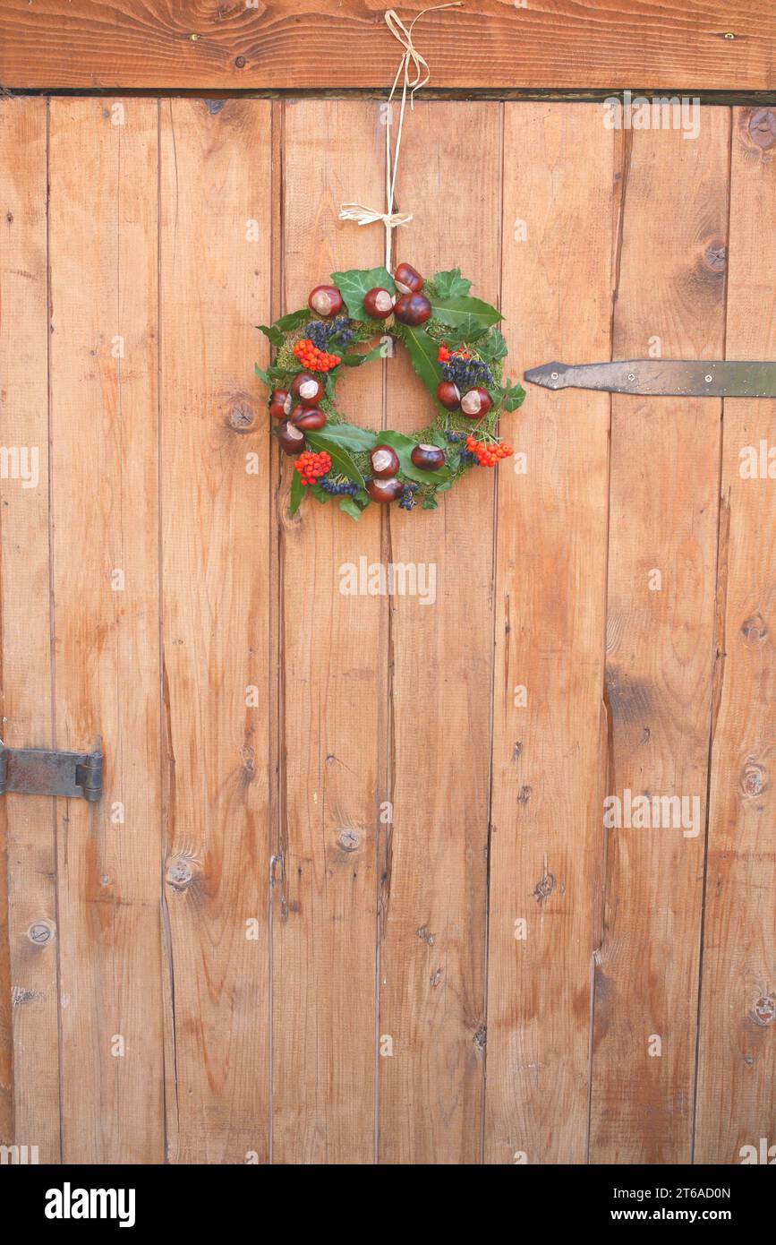 Herbstkranz mit Rosskastanien, Beeren und Efeublättern, hängt an einer Holztür Stockfoto