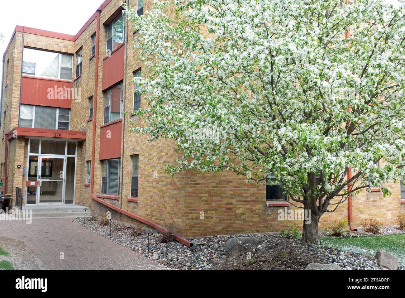 Eingang zu einem Apartmentgebäude und blühendem Apfelbaum. St. Paul Minnesota MN USA Stockfoto