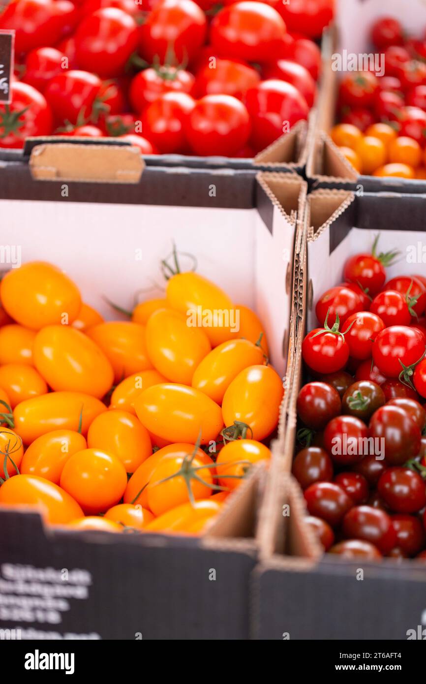 Nahaufnahme verschiedener Tomatensorten in Papierkartons Stockfoto
