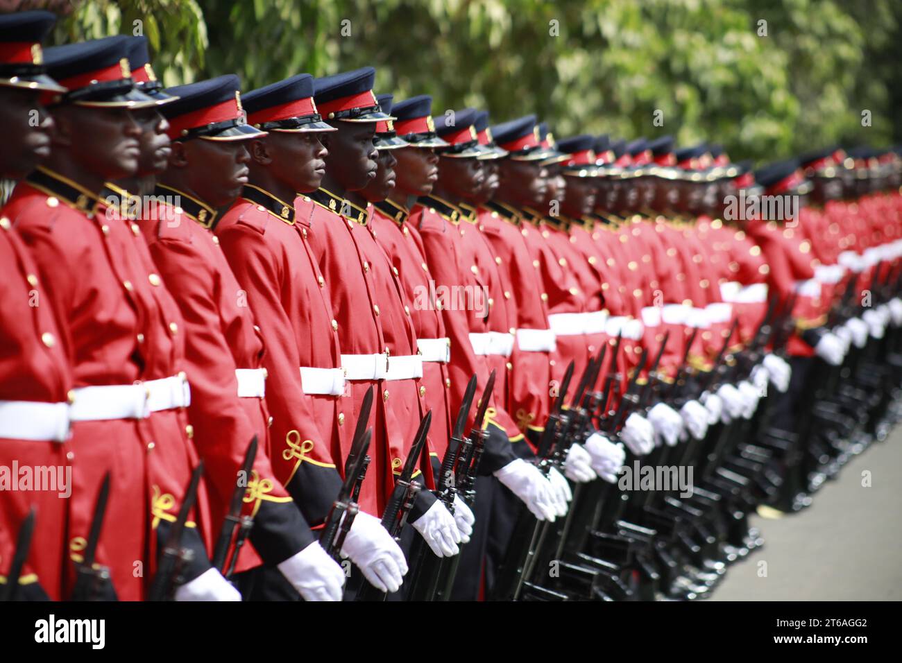 Nairobi, Kenia. November 2023. Mitglieder der Kenia Defence Forces (KDF) stehen kurz nach der Ankunft von Präsident William Ruto vor den Parlamentsgebäuden auf der Wache für die Ansprache zum Bundesstaat. Quelle: SOPA Images Limited/Alamy Live News Stockfoto