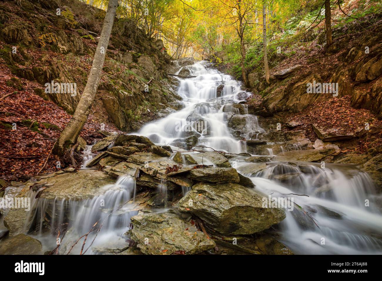 Wasserfall in einem spektakulären goldenen Herbstbuchenwald an der Gartxot Bergstraße in Navarra, Spanien im Herbst Stockfoto