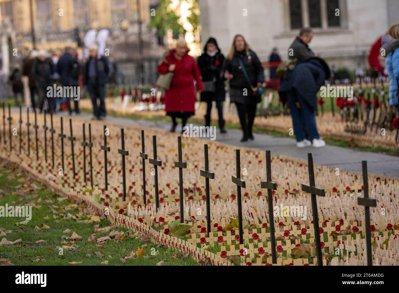 London, Großbritannien. November 2023. Westminster Abbey Field of Remember ist öffentlich zugänglich: Ian Davidson/Alamy Live News Stockfoto