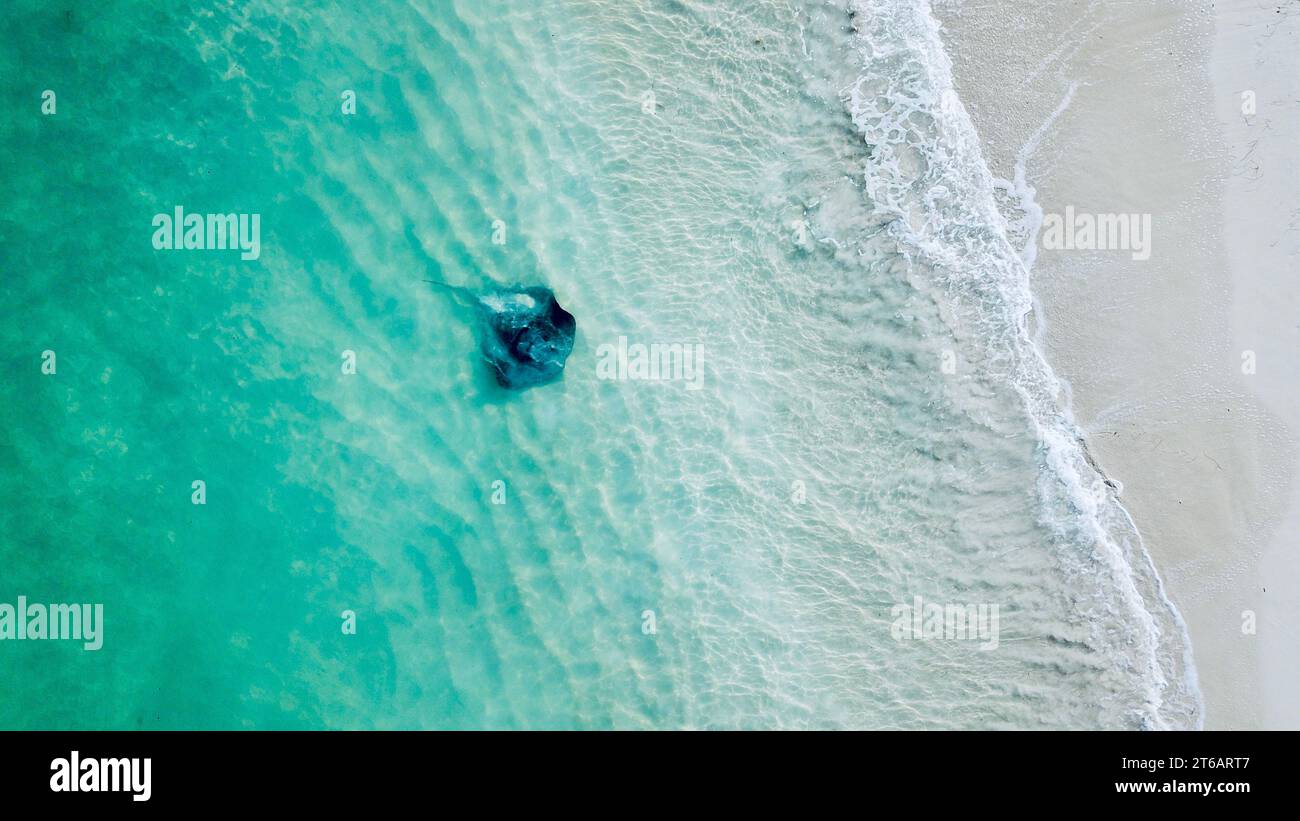 Ein ruhiger Strand mit unberührtem Sand und einem ruhigen türkisfarbenen Meer im Hintergrund Stockfoto