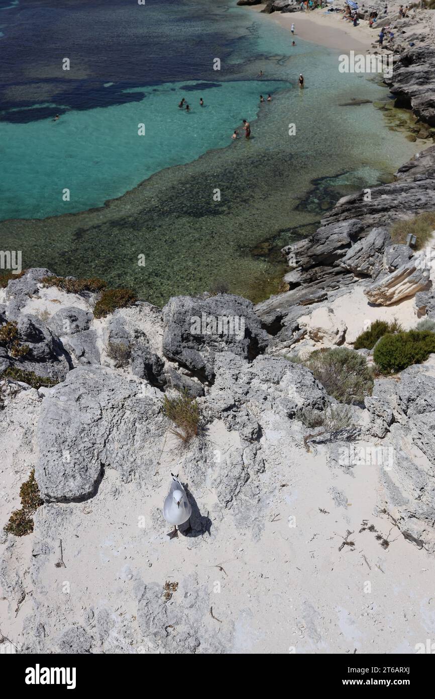 Ein ruhiger Strand mit unberührtem Sand und einem ruhigen türkisfarbenen Meer im Hintergrund Stockfoto