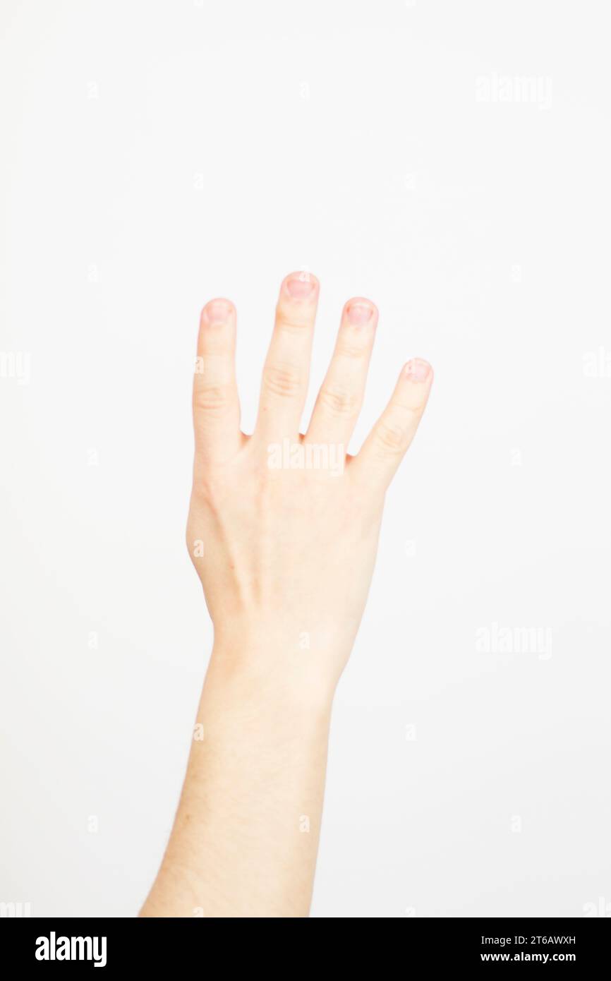Hand mit Nummer vier auf weißem Hintergrund, Nahaufnahme. Gebärdensprache Stockfoto