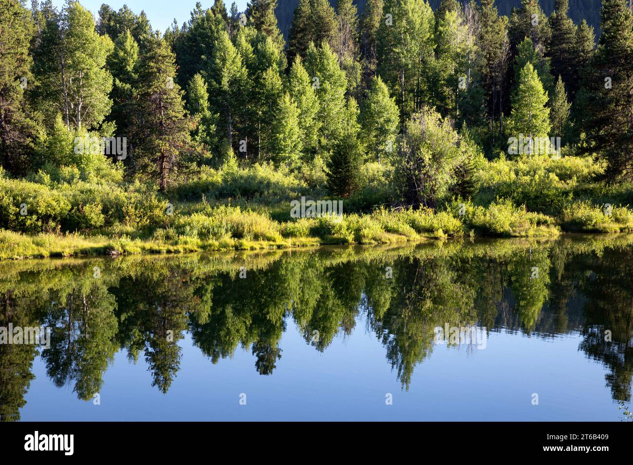 WY05674-00...WYOMING - Bäume spiegeln sich im Snake River am Oxbow im Grand Teton National Park. Stockfoto