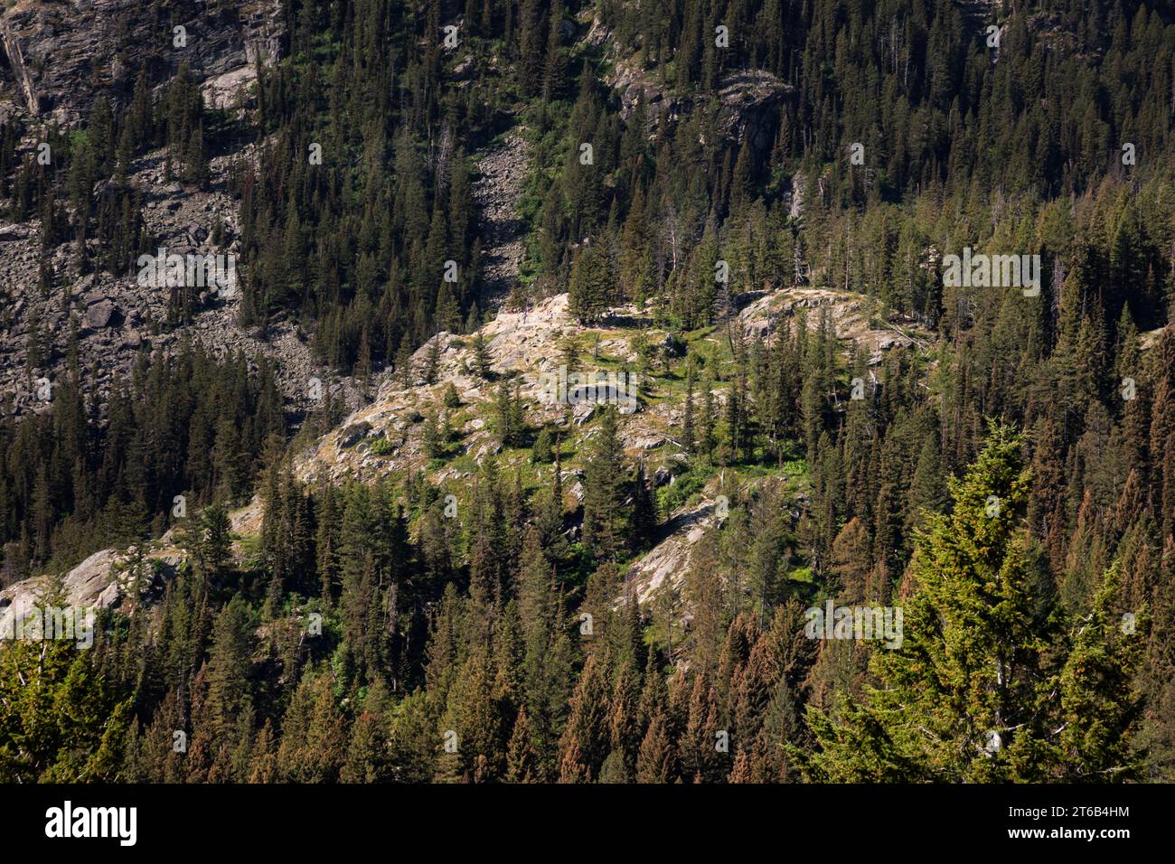 WY05694-00...WYOMING - Inspiration Point , ein beliebtes Wanderziel von der Jenny Lake Shuttlebootlandung im Grand Teton National Park. Stockfoto
