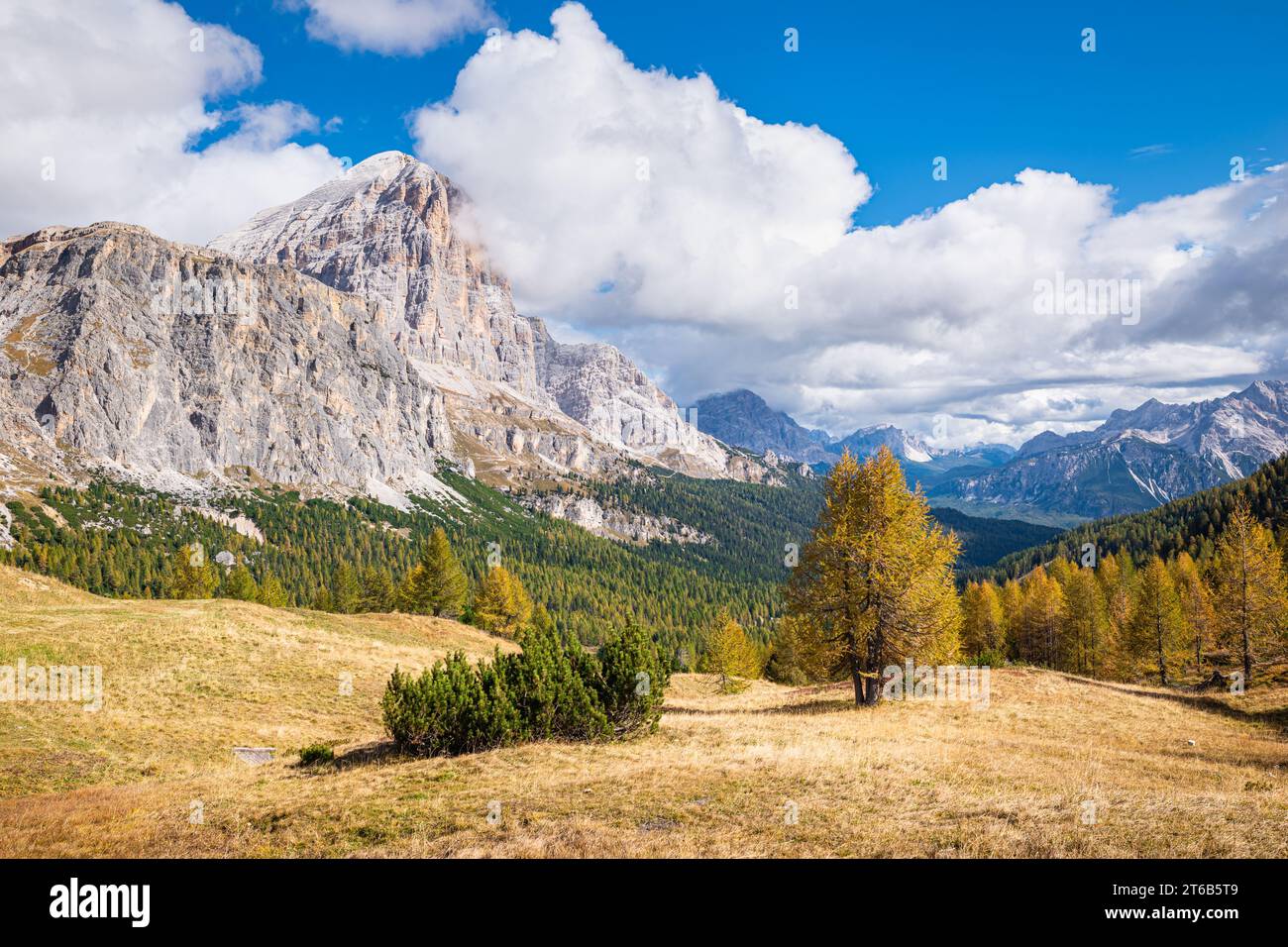 Berghänge mit goldenen Lärchen in den Dolomiten Stockfoto