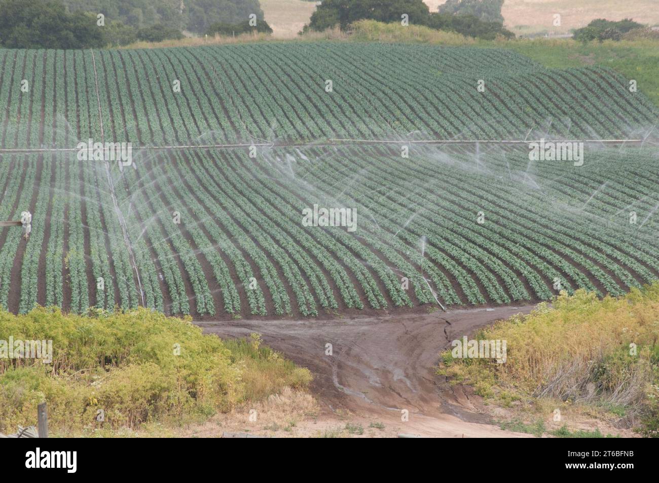 USDA Bewässerung 2011 Stockfoto