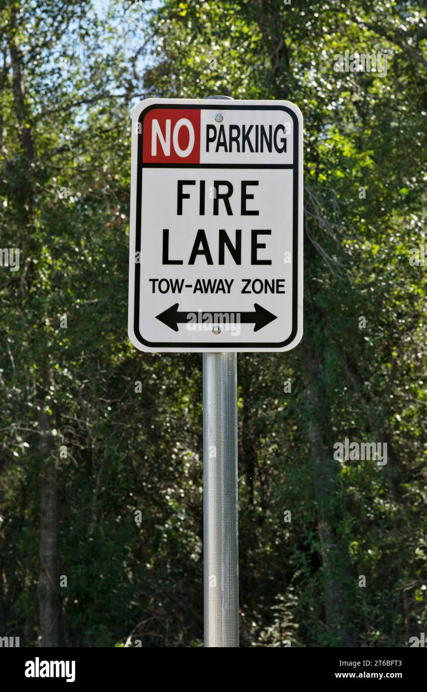 Fire Lane und kein Parkschild in der Nähe isoliert mit einem Hintergrund von Baumdach und Kopierraum. Stockfoto