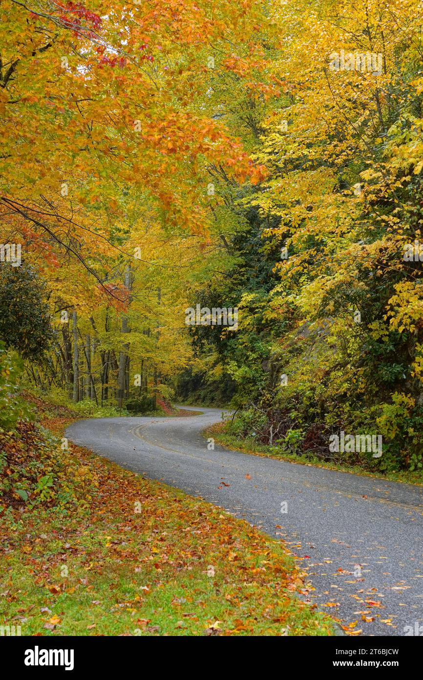 Fahren Sie im Herbst auf dem Blue Ridge Parkway in North Carolina Stockfoto