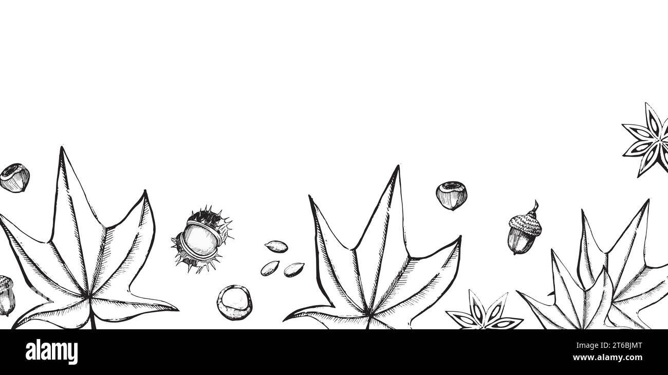 Rechteckige Zusammensetzung im Vektor gezeichnet. Ahornblätter, Kastanien, Eicheln, in Vektor in schwarz auf weißem Hintergrund gezeichnet. Für Druck, Karten, Einladung Stock Vektor