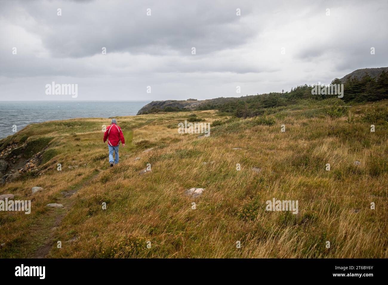 Mann, der an einem kalten, windigen, dunklen Herbsttag an der Klippe der Lobster Cove im Gros Morne National Park spaziert. Stockfoto