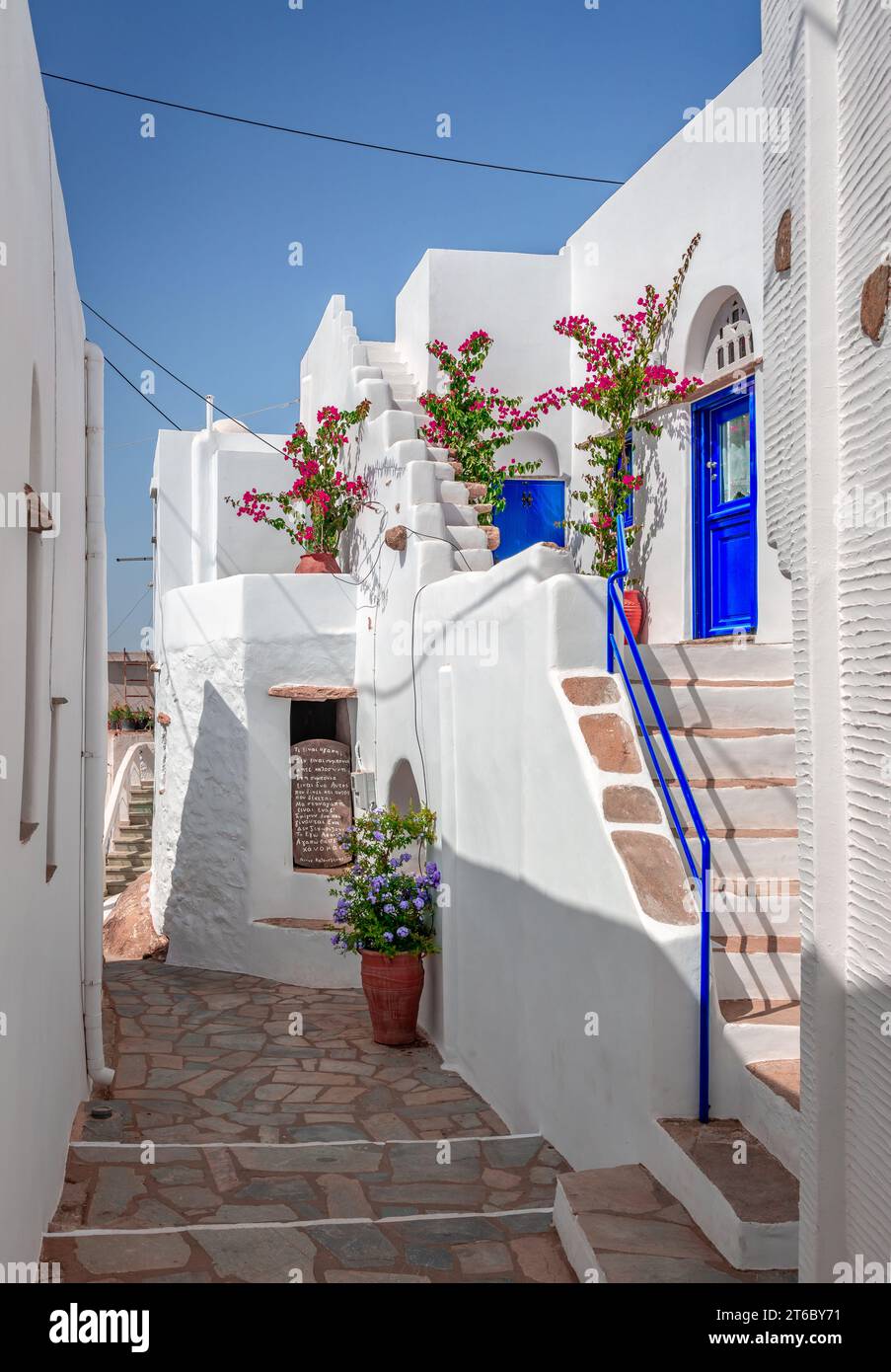 Enge Kopfsteinpflasterallee, Häuser mit weiß getünchten Wänden und Blumen in Volax, einem malerischen Dorf auf der Insel Tinos, in Kykladen, Griechenland. Stockfoto