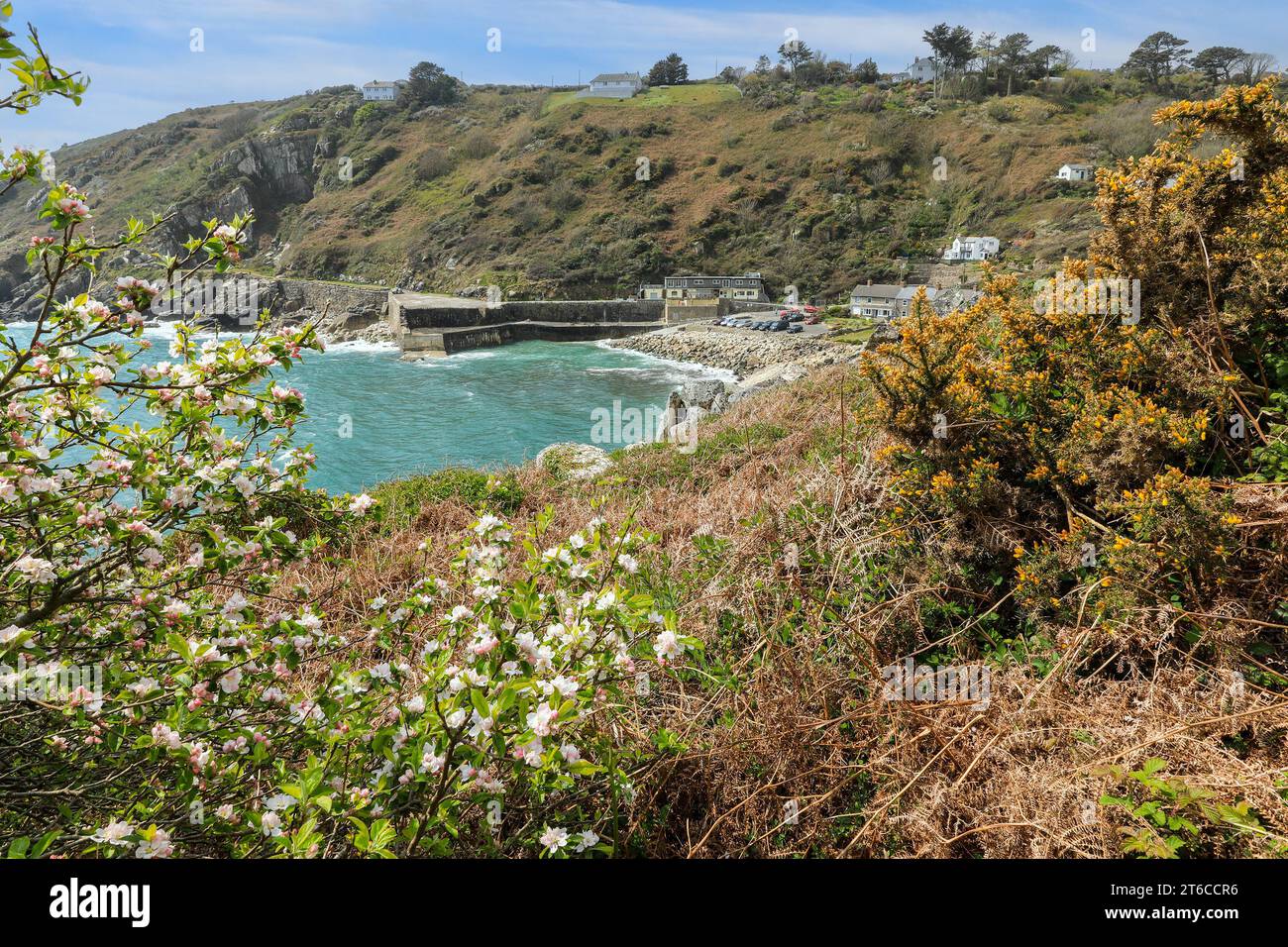 Der Hafen und die Meeresmauern von Lamorna Cove, Cornwall, West Country, England, Großbritannien Stockfoto