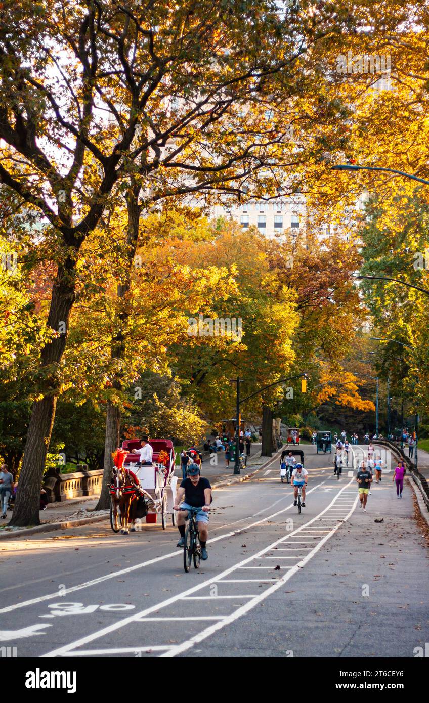 Central Park im Herbst, Pferdekutsche im Herbst Stockfoto