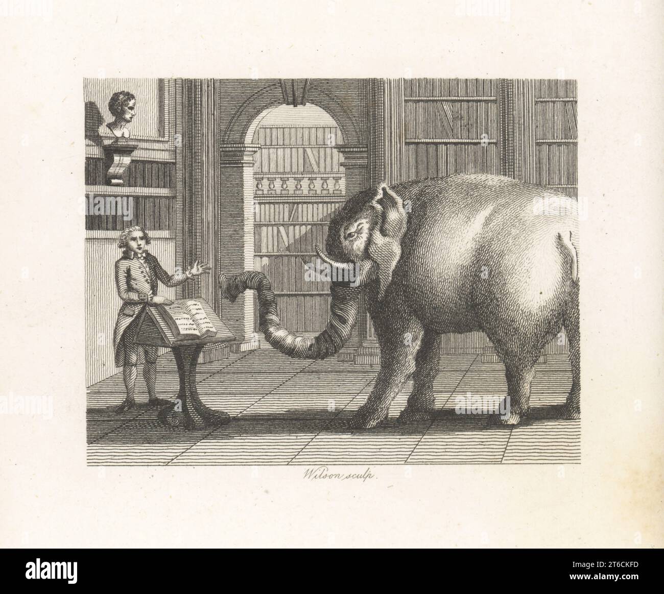 Der Elefant und der Buchhändler. Ein indischer Elefant liest ein Buch in einem eleganten Buchladen. Der Buchhändler dreht die Seiten eines Buches auf einem Rednerpult um. Copperplate-Gravur von Wilson nach einer Illustration von William Kent aus Fables von John Gay, mit einem Leben des Autors, John Stockdale, London, 1793. Stockfoto