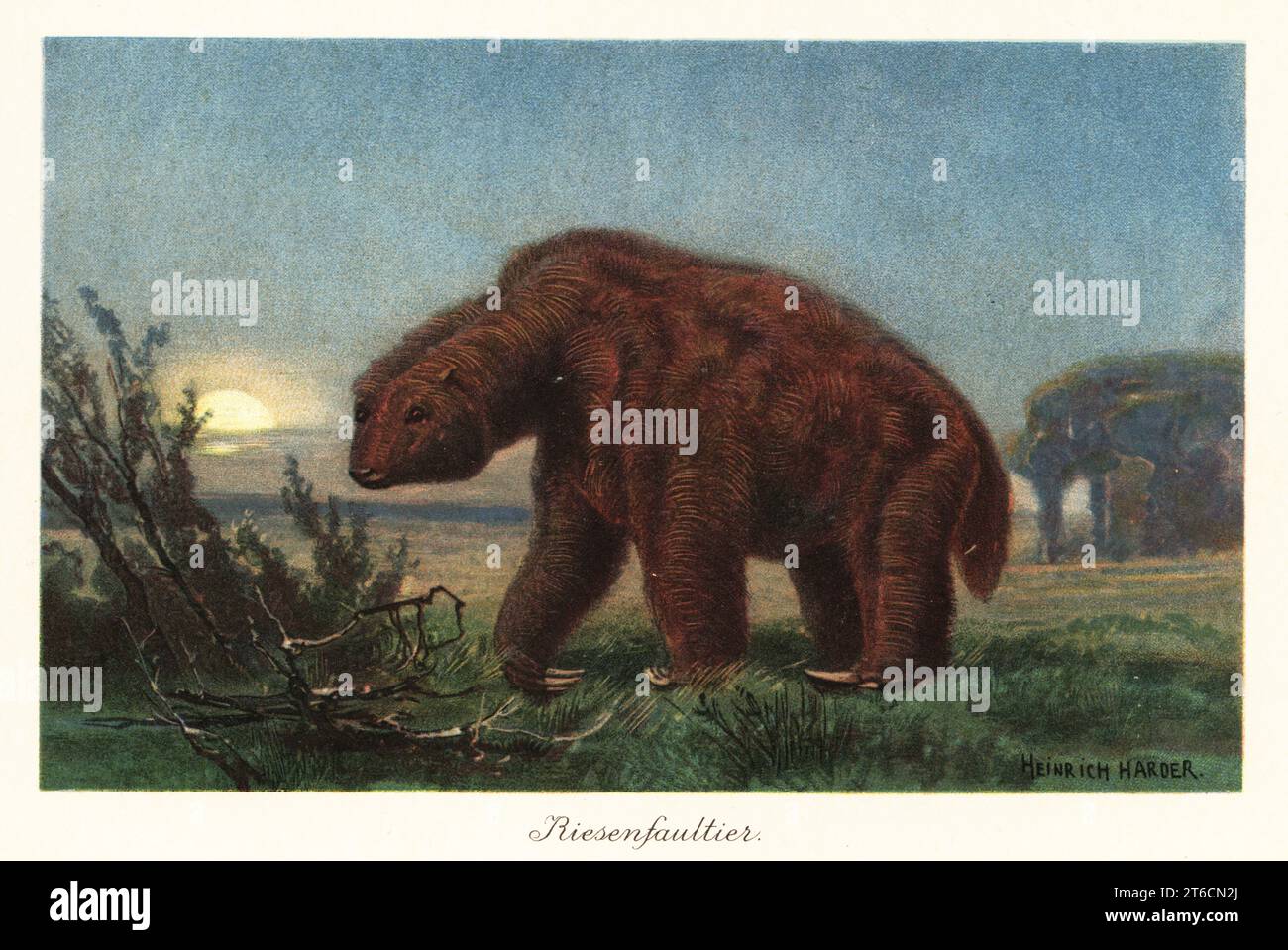 Megatherium americanum (großes Biest) im Mondschein. Megatherium ist eine ausgestorbene Gattung elefantengroßer Bodenfaultiere, die vom Pliozän bis zum Pleistozän in Amerika beheimatet sind. Riesenfaultier. Farbige Illustration von Heinrich Harder von Wilhelm Bolsches Tiere der Urwelt, Reichardt Cocoa Company, Hamburg, 1908. Heinrich Harder (1858–1935) war ein deutscher Landschaftskünstler und Buchillustrator. Stockfoto