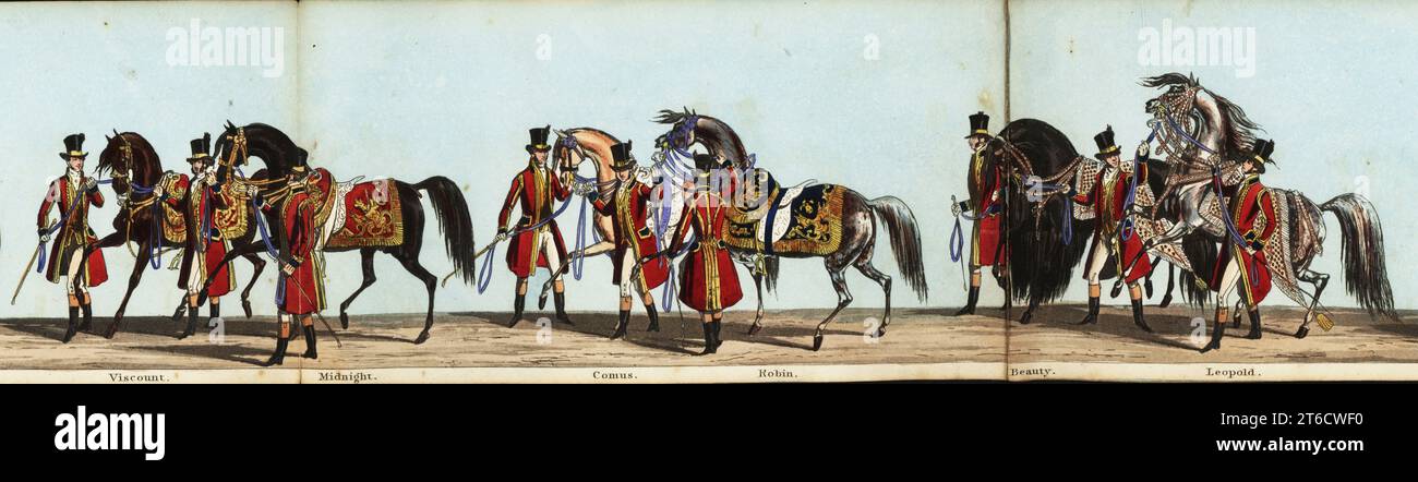 Sechs der Königspferde in reichen Zügen und geführt von Bräutigam. Viscount, Mitternacht, Comus, Robin, Beauty, und Leopold. Handgefärbter Aquatinstich aus Fores' korrekter Darstellung der Staatsprozession anlässlich der August-Zeremonie der Krönung Ihrer Majestät, 28. Juni 1838, herausgegeben von Fores, Sporting and Fine Print Repository, Piccadilly, London, 1838. Stockfoto