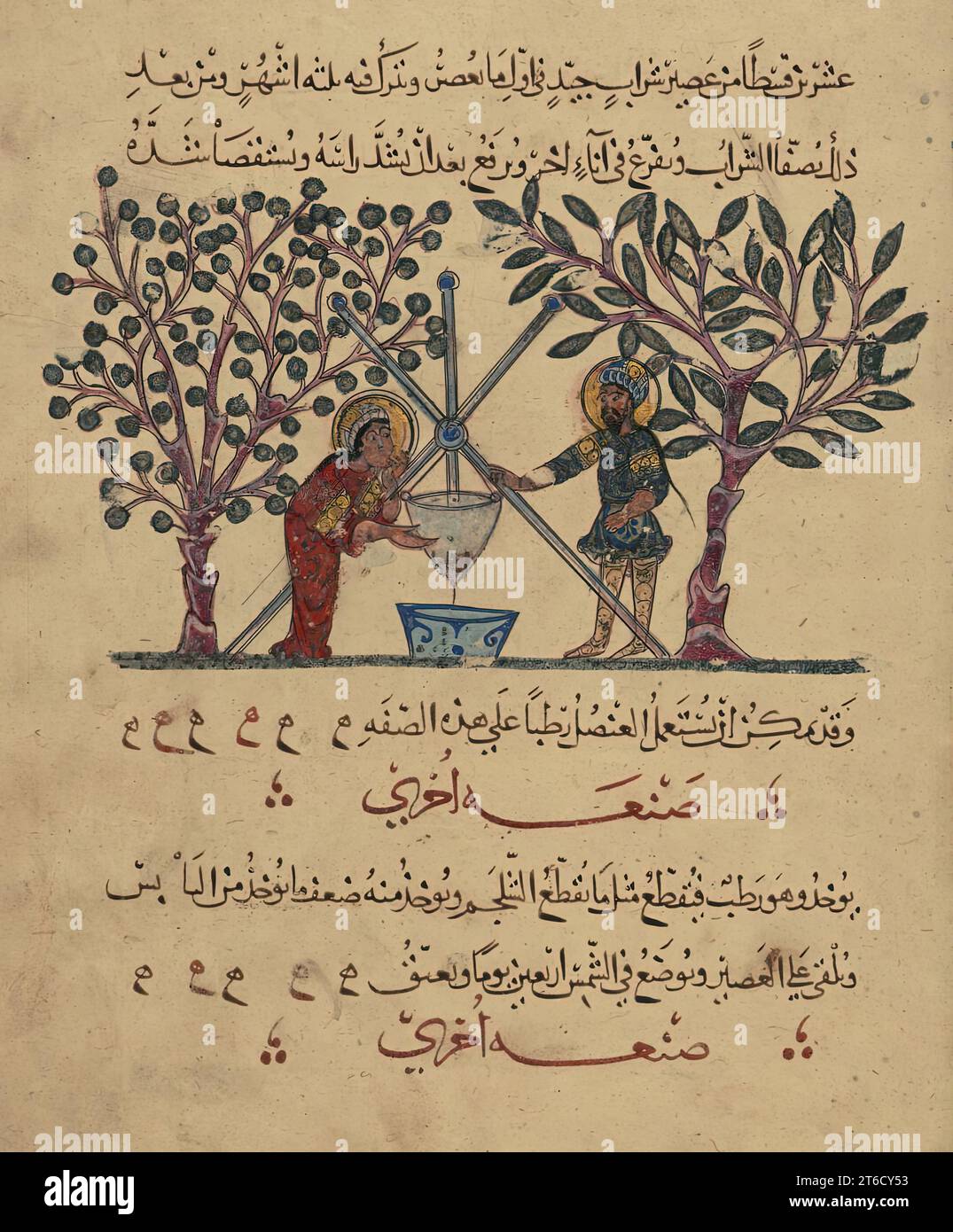 Einzelblatt aus der arabischen Version von Dioscorides' de materia medica, Rajab 621 AH/1224 n. Chr. Zwei Ärzte, die Medizin vorbereiten. Ein Trichter wird auf einem Stativ über einem Gefäß aufgestellt. Die beiden Männer, die den medizinischen Zuzug vorbereiten, stehen auf beiden Seiten des Stativs neben zwei Obstbäumen. Der Text ist in teilweise vokalisierter Naskh-Schrift in bräunlich-schwarzer und roter Tinte geschrieben. Stockfoto