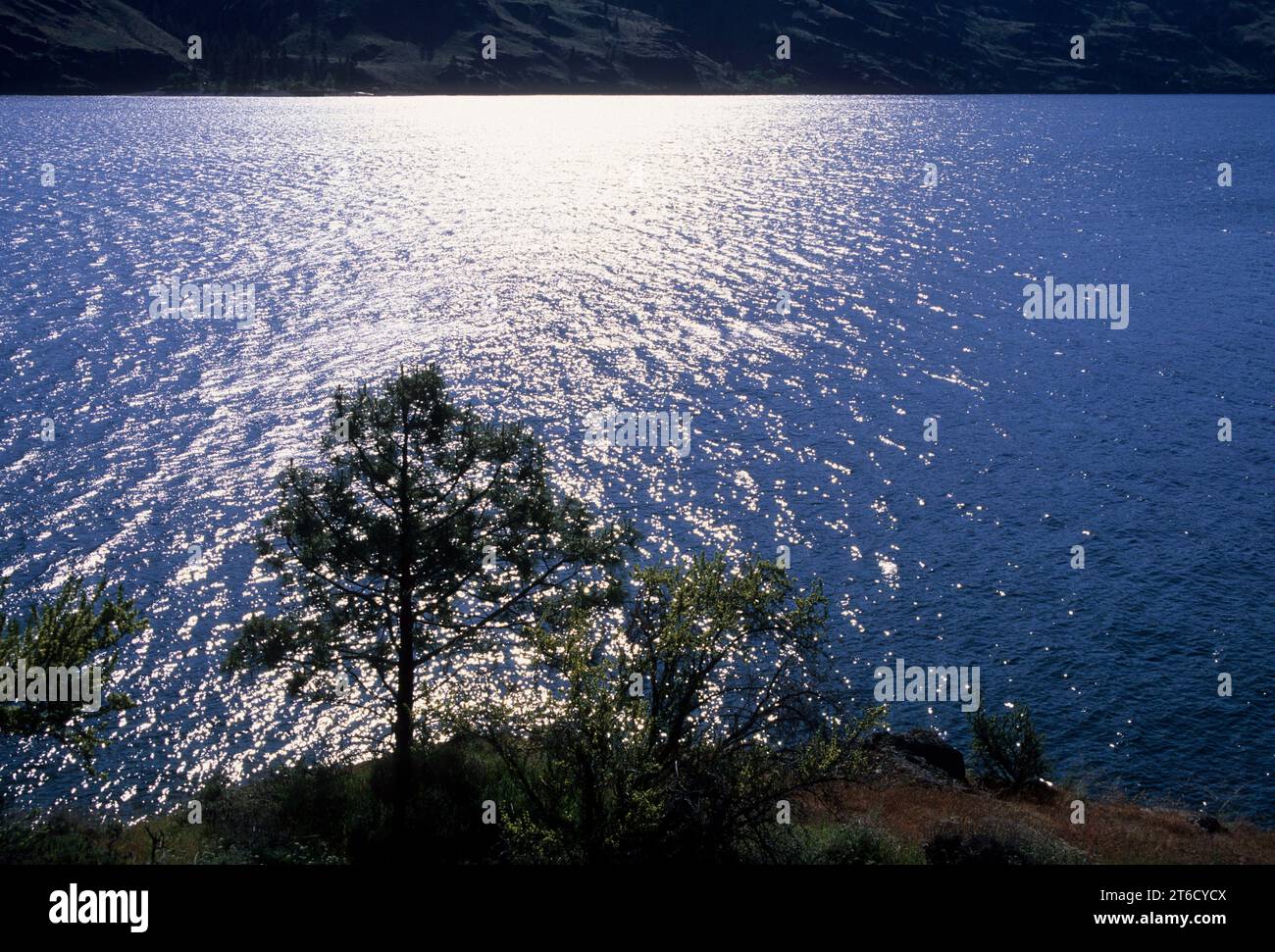 Silhouette von Lake Chelan, Fields Landing, Wenatchee National Forest, Washington Stockfoto