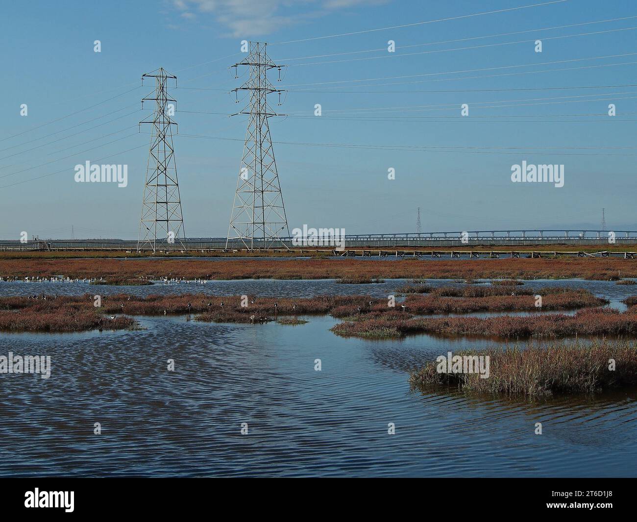 Palo Alto Baylands Preserve entlang der San Francisco Bay, Kalifornien Stockfoto