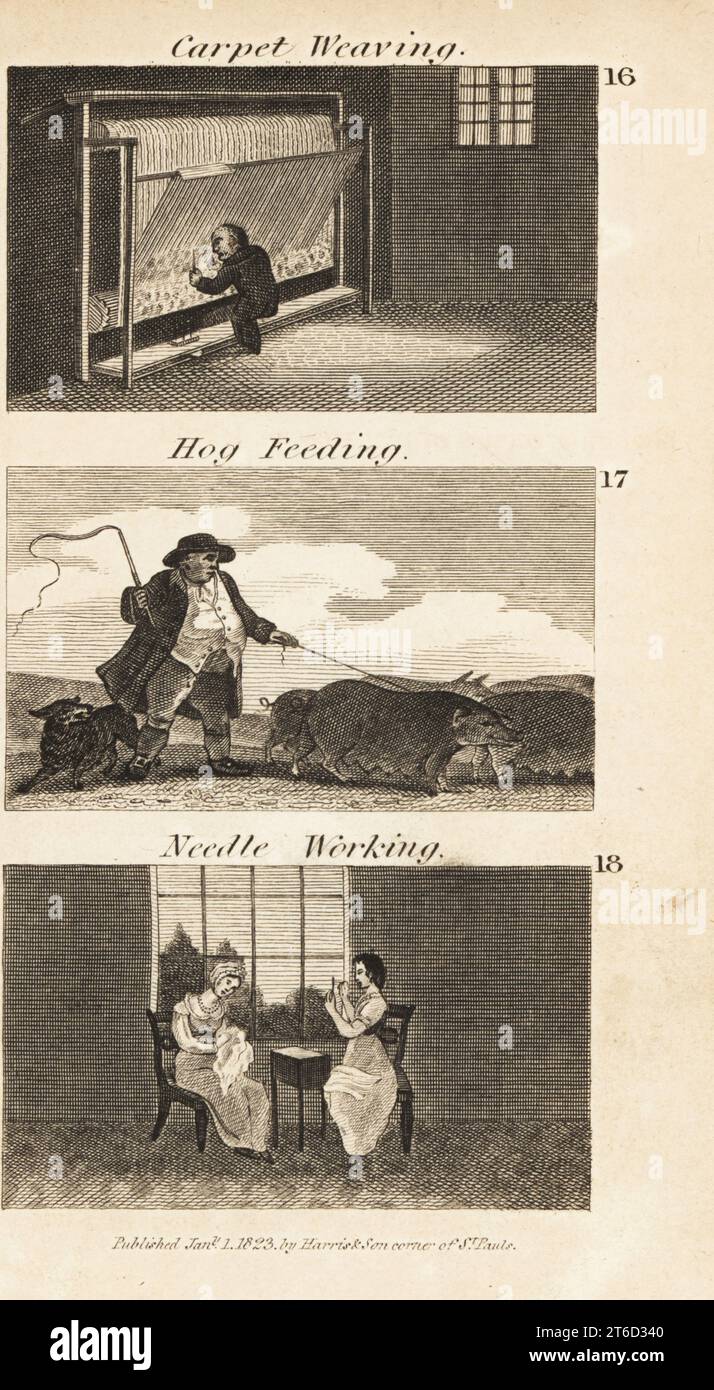 Handel in Regency England. Teppichweber an einem Webstuhl in Wilton 16, Schweinebauern, die Schweine in Hampshire 17 füttern, und Frauen, die mit Nadeln aus Chichester 18 stricken und sticken. Holzstich von Rev. Isaac Taylors Szenen des britischen Reichtums, in Production, Manufacture and Commerce, John Harris, London, 1823. Isaac Taylor war ein englischer Schriftsteller, Künstler, Kupferstecher und Erfinder von 1787 bis 1865. Stockfoto