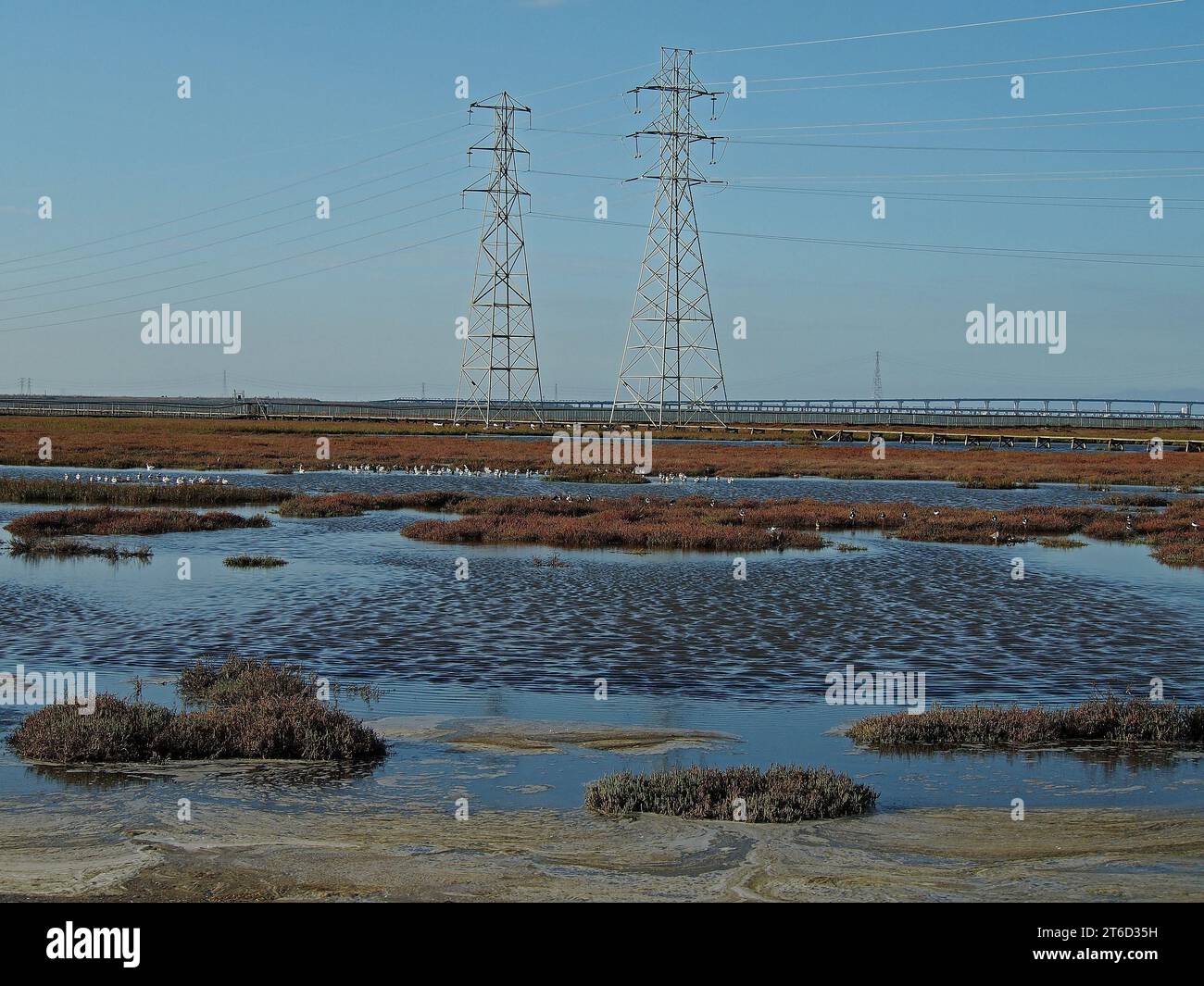 Palo Alto Baylands Preserve entlang der San Francisco Bay, Kalifornien Stockfoto