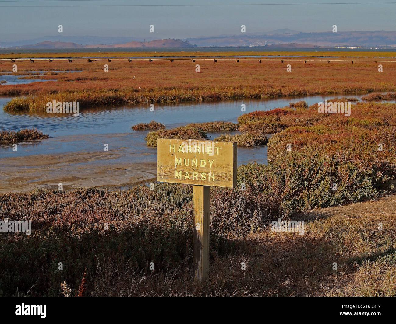 Palo Alto Baylands Preserve, Harriet Bundy Marsh, entlang der San Francisco Bay, Kalifornien Stockfoto
