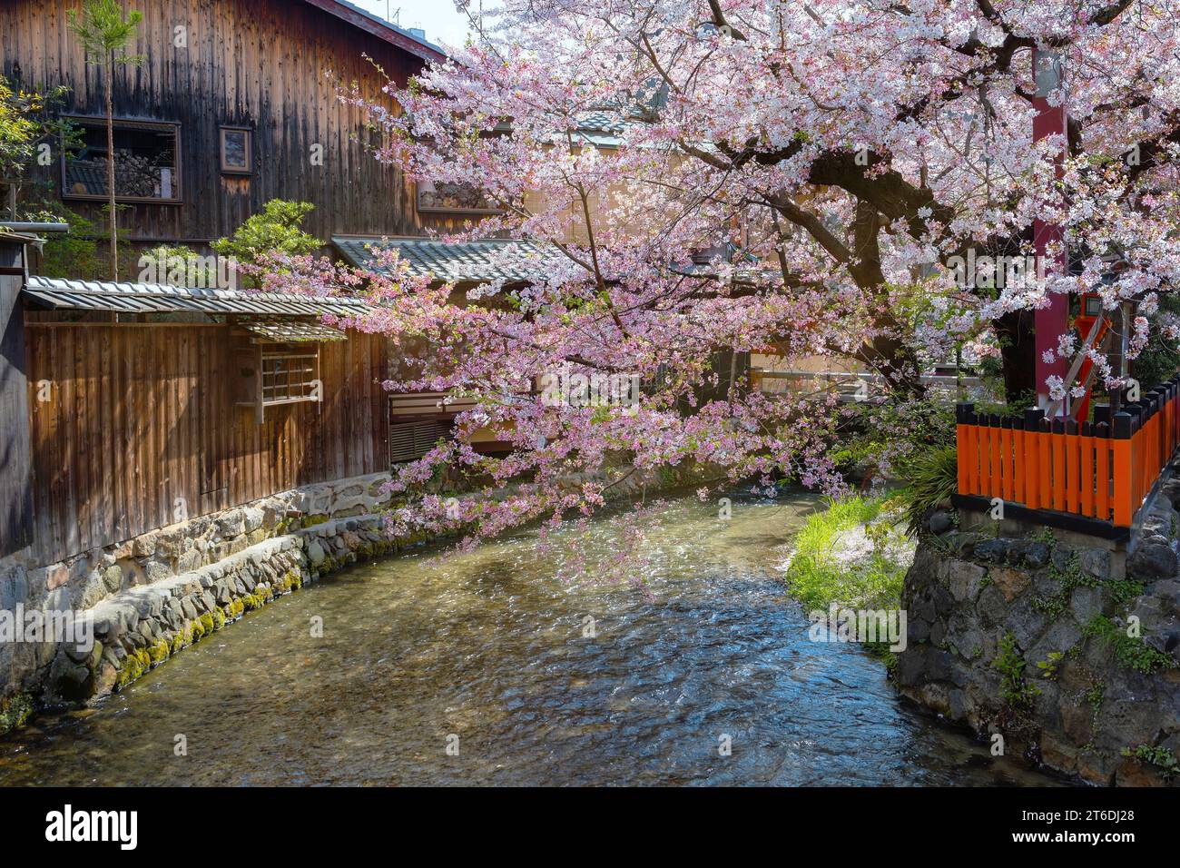 Kyoto, Japan - 2. April 2023: Shinbashi dori ist der Ort, an dem Gion-Ochaya Teehäuser nebeneinander auf der Straße stehen, verbunden mit dem Betrieb von Shir Stockfoto