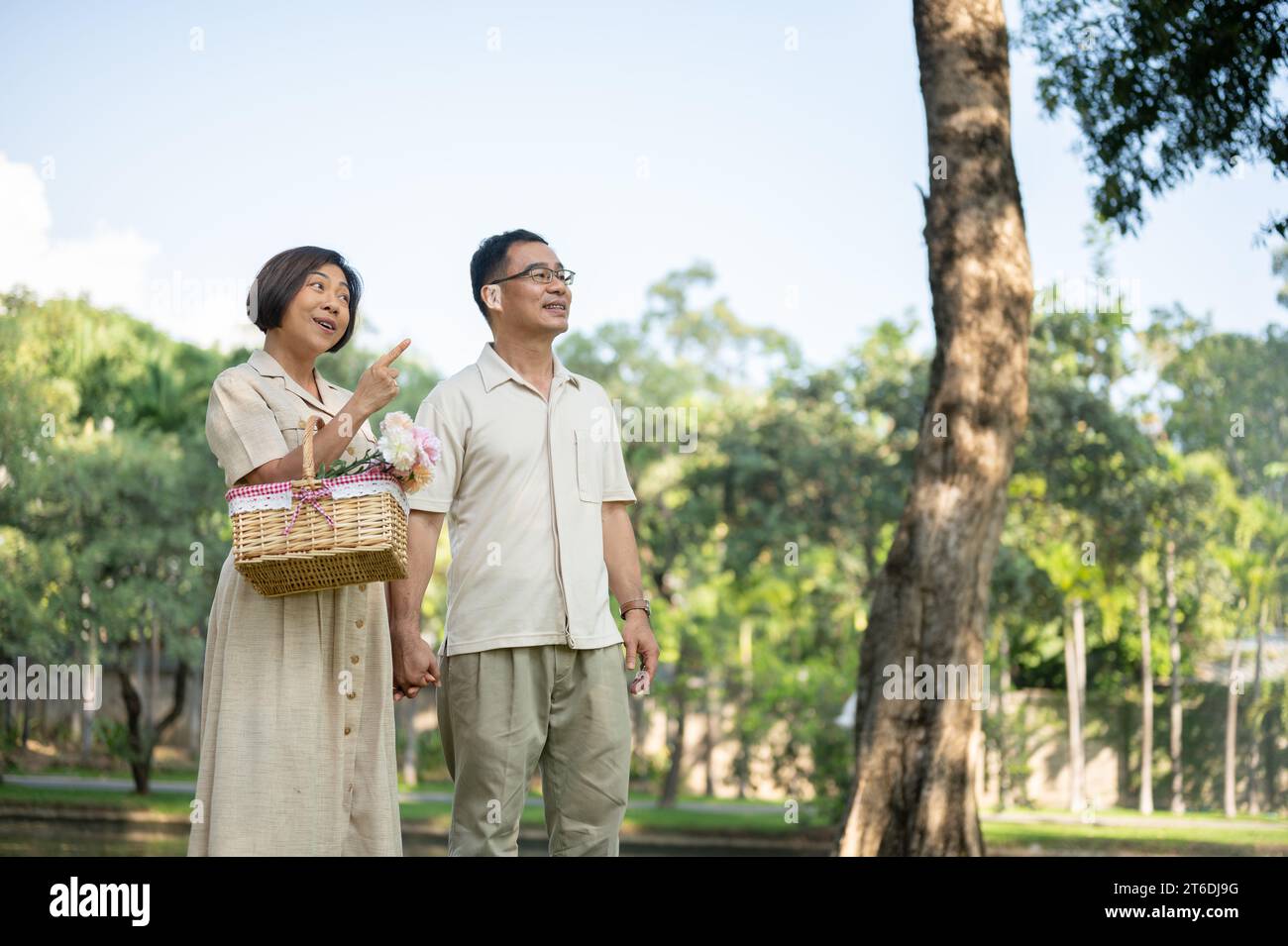 Glückliche asiatische Seniorenpaare unterhalten sich gerne und halten Hände, während sie an einem hellen gemeinsamen Tag durch den grünen Park schlendern. Glückliches Heiratsleben, Stockfoto