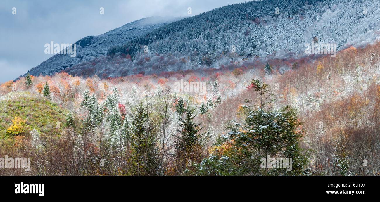 Herbst und Winter im Pisgah National Forest im Westen von North Carolina Stockfoto