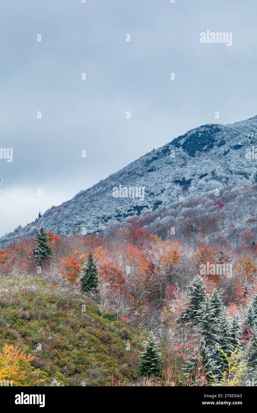 Herbst und Winter im Pisgah National Forest im Westen von North Carolina Stockfoto