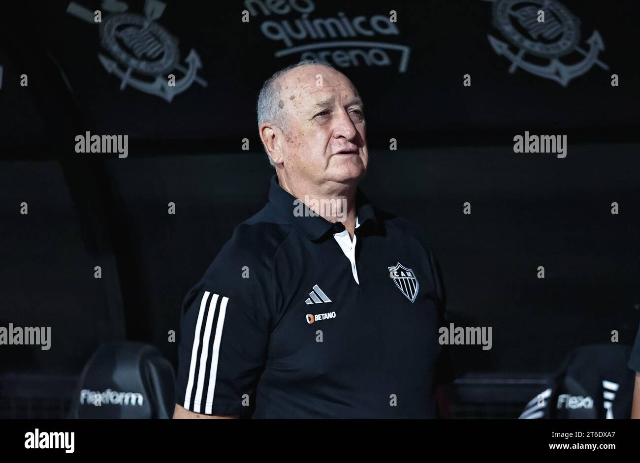 Sao Paulo, Brasilien. November 2023. SP - SAO PAULO - 09/11/2023 - BRAZILIAN A 2023, CORINTHIANS Credit: AGIF/Alamy Live News Stockfoto