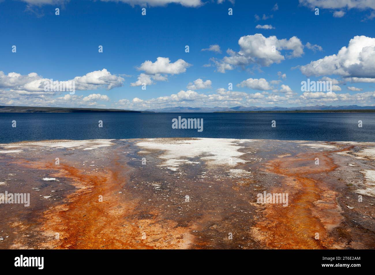 Mineralhaltige Abflüsse aus dem West Thumb Geyser Basin fließen in Richtung Lake Yellowstone im Yellowstone National Park. Stockfoto