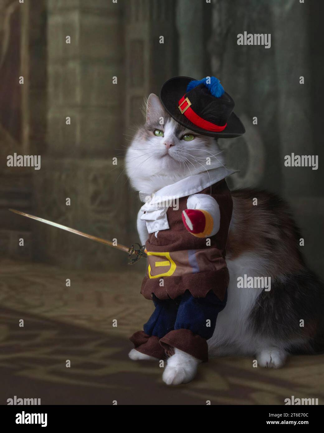 Lustiges Bild mit Katzen in Marionette Stockfoto Lustiges Bild mit Katzen in Marionette Stockfoto