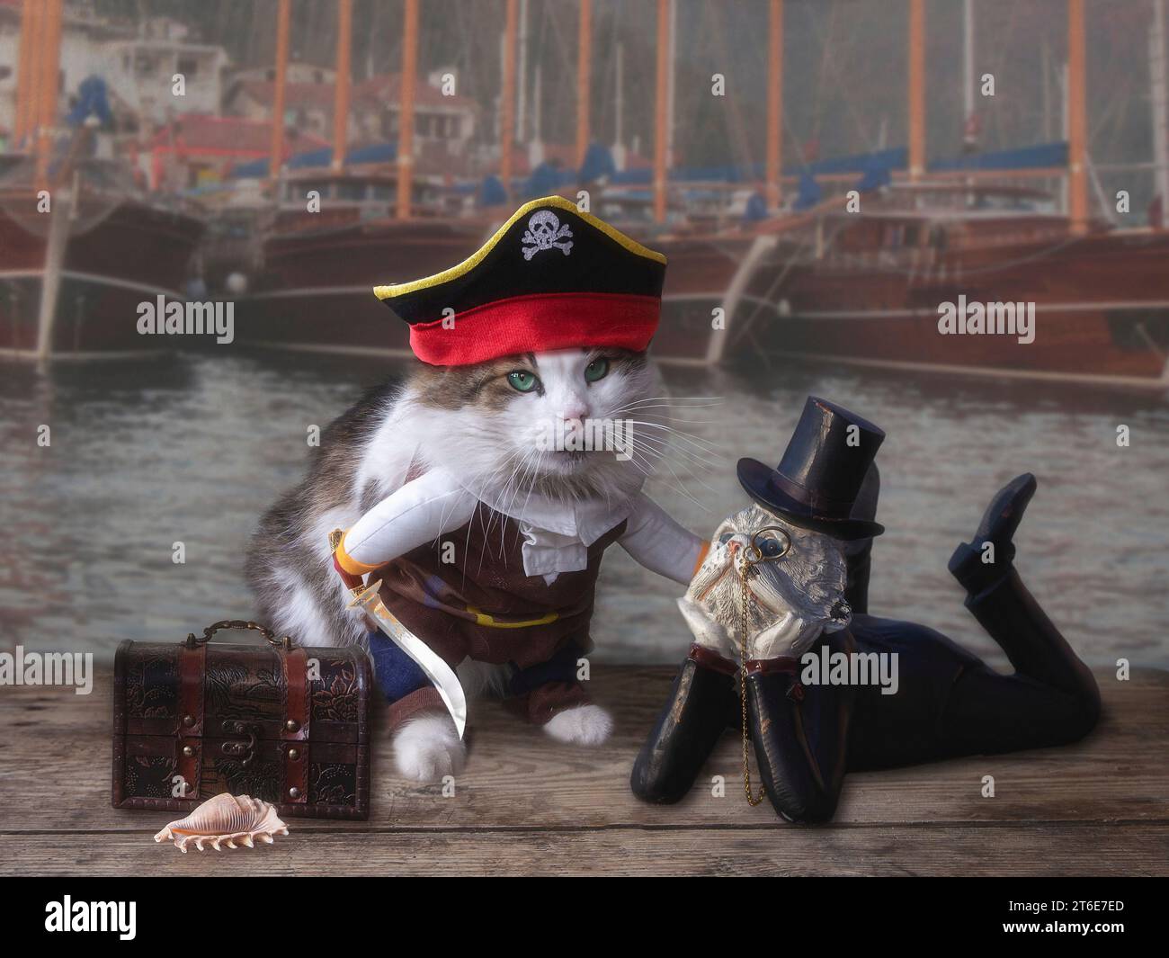 Lustiges Bild mit Katzen in Marionette Stockfoto Lustiges Bild mit Katzen in Marionette Stockfoto